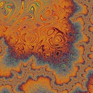 Meet your Posher, Diana